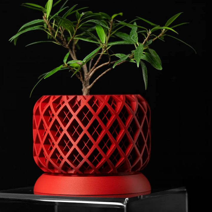 Geometric Plant Pot