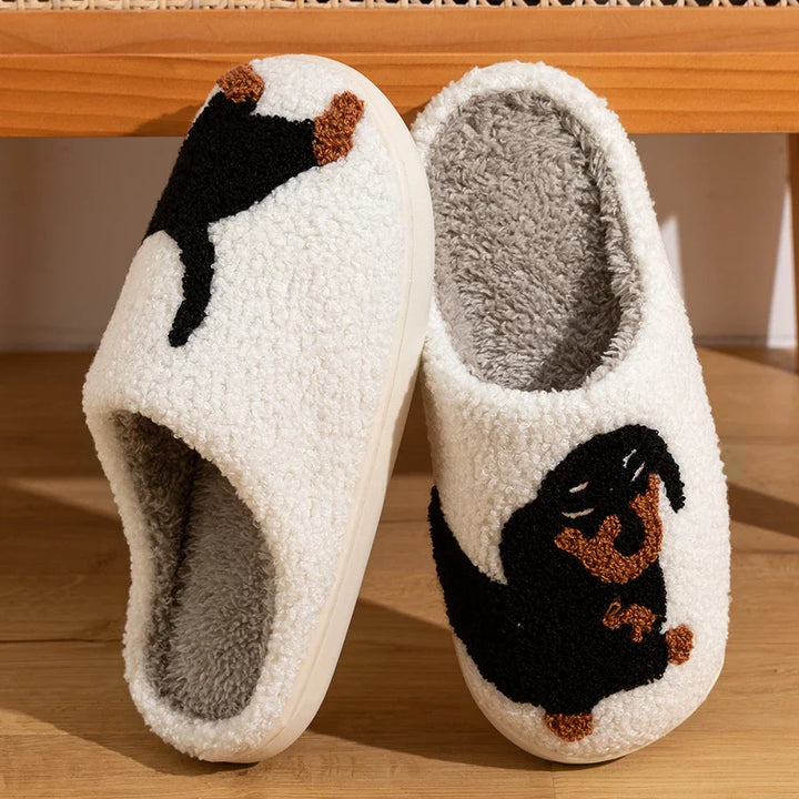 Dachsy Cozy Slippers