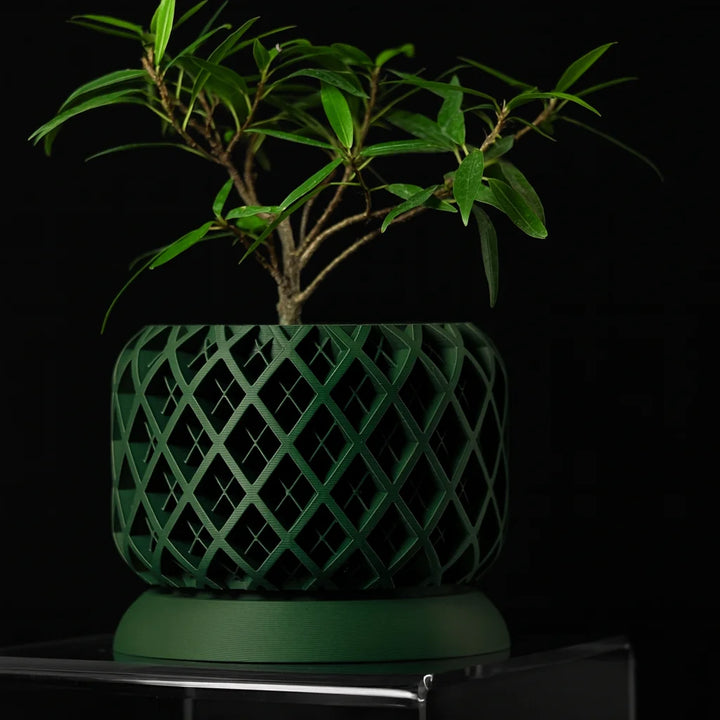 Geometric Plant Pot