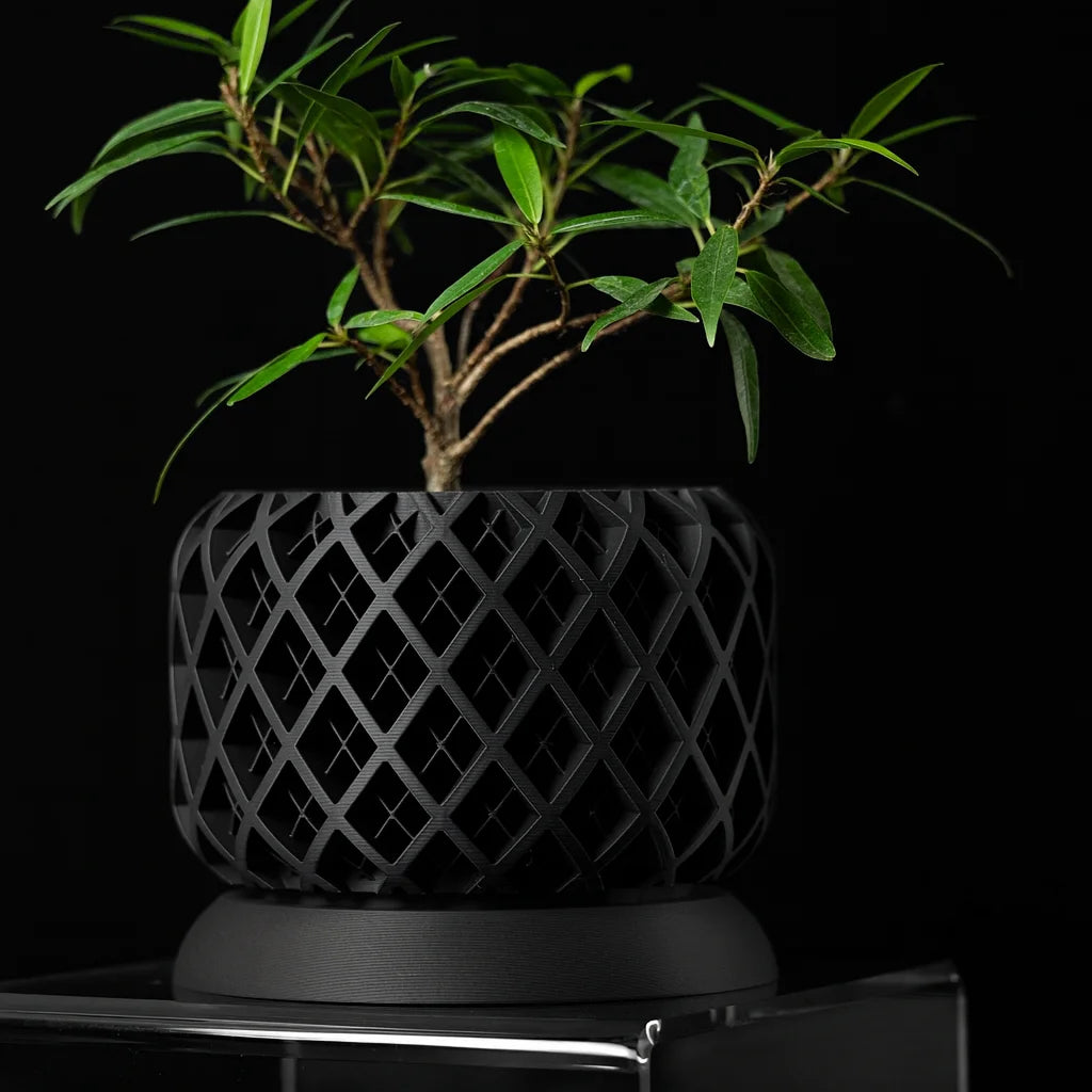 Geometric Plant Pot